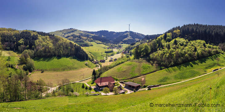 Green landscape with fir forests. In the foreground a small farm. On the horizon a windmill.
